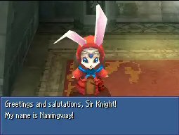 FFIV DS Namingway